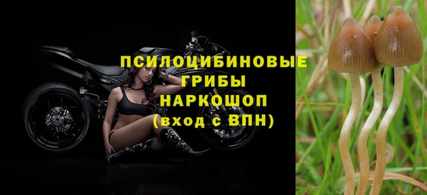 PSILOCYBIN Тында