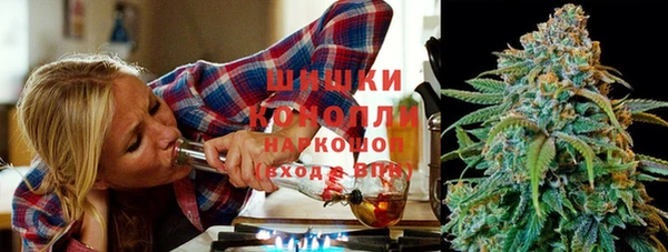 твердый Няндома